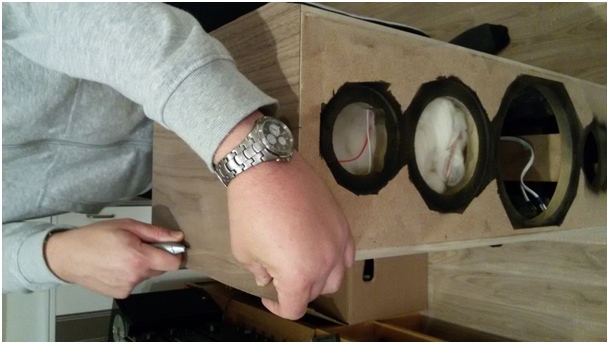 limnis-fineer-snijden